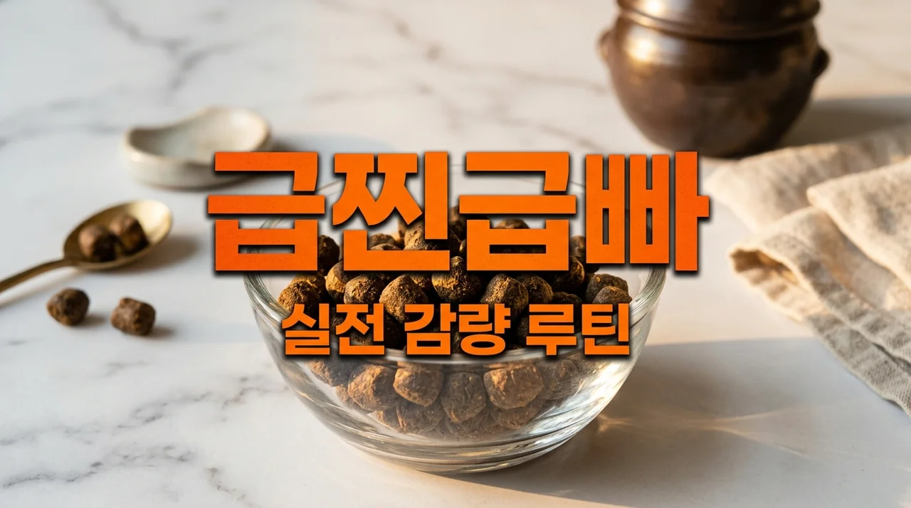 행감환 내돈내산 후기 | 10kg 감량 성공시킨 현실 루틴과 실패 없는 법