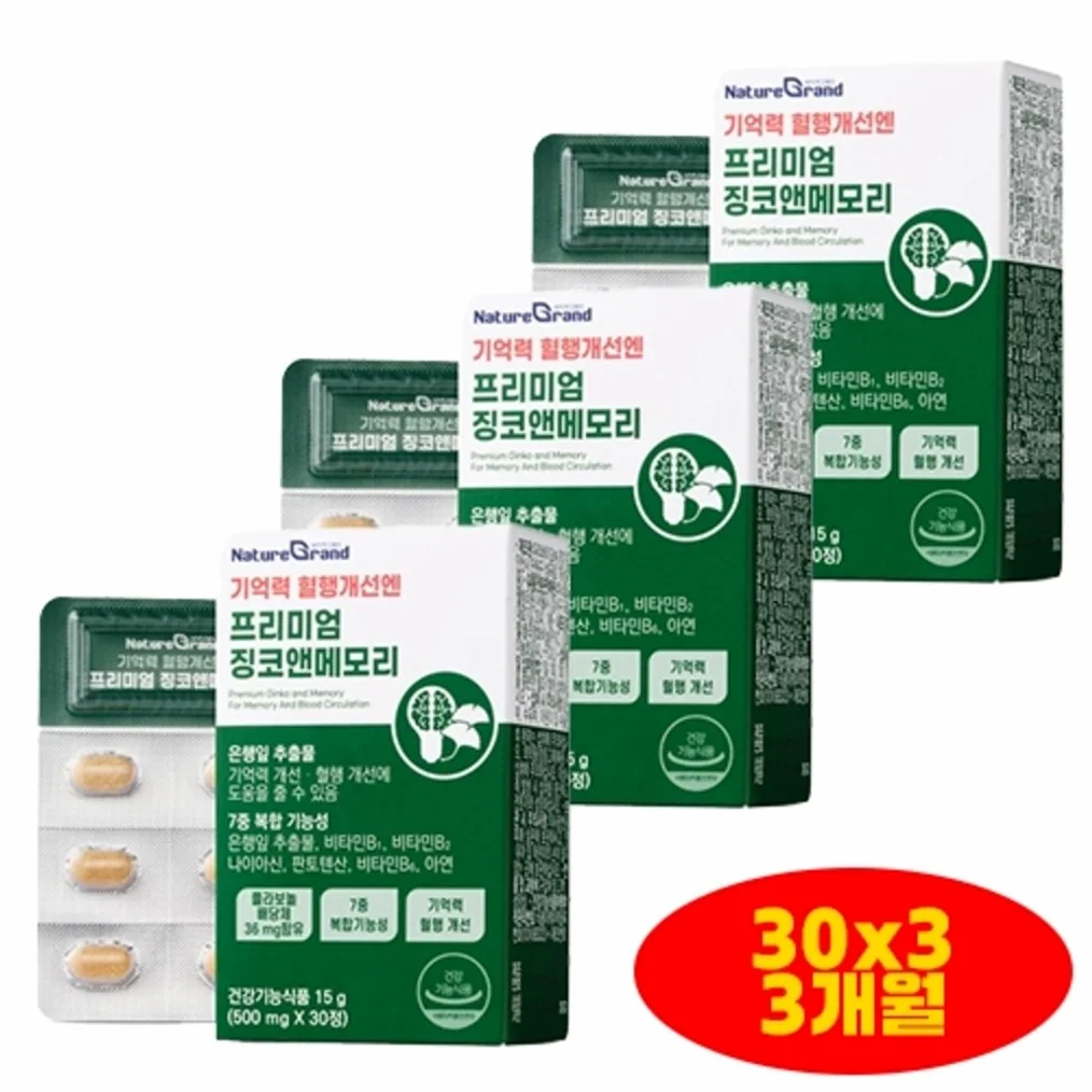네이처그랜드 프리미엄 징코 메모리 1개월분 기억력개선 은행잎추출물
